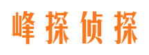 新城私家调查公司